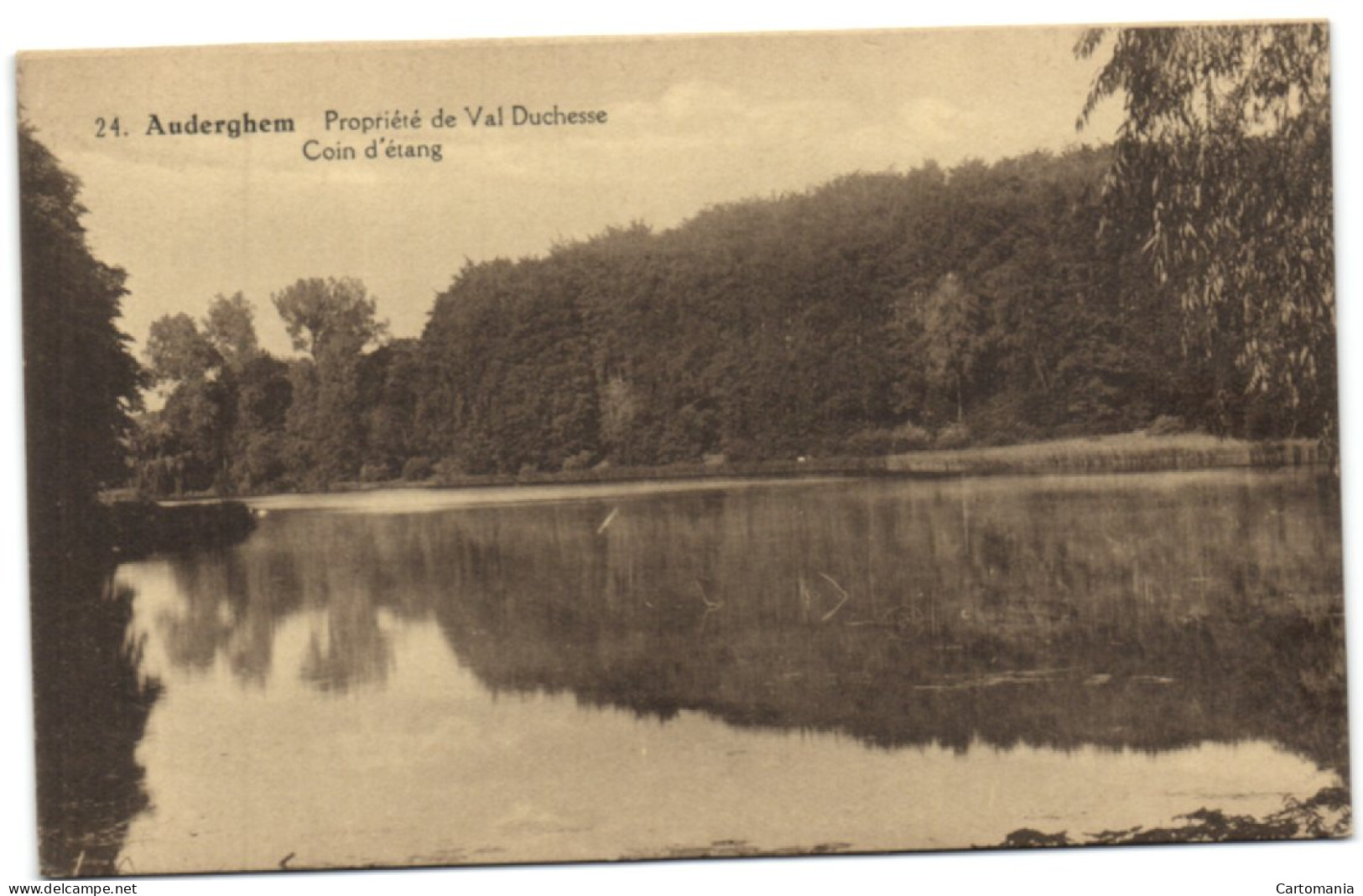 Auderghem - Propriété De Val Duchesse - Coin D'étang - Oudergem - Auderghem