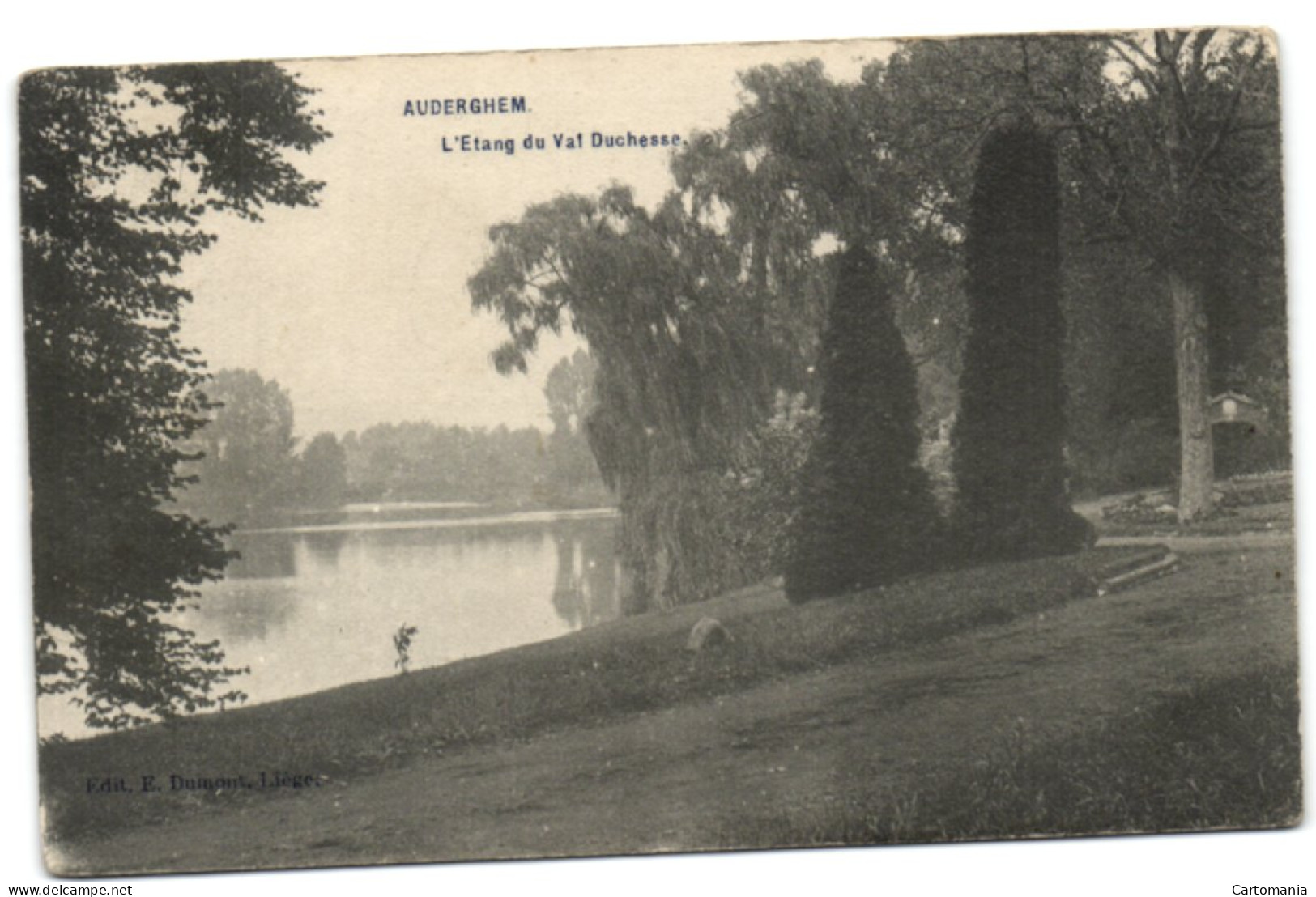 Auderghem - L'Etang De Val Duchesse - Oudergem - Auderghem