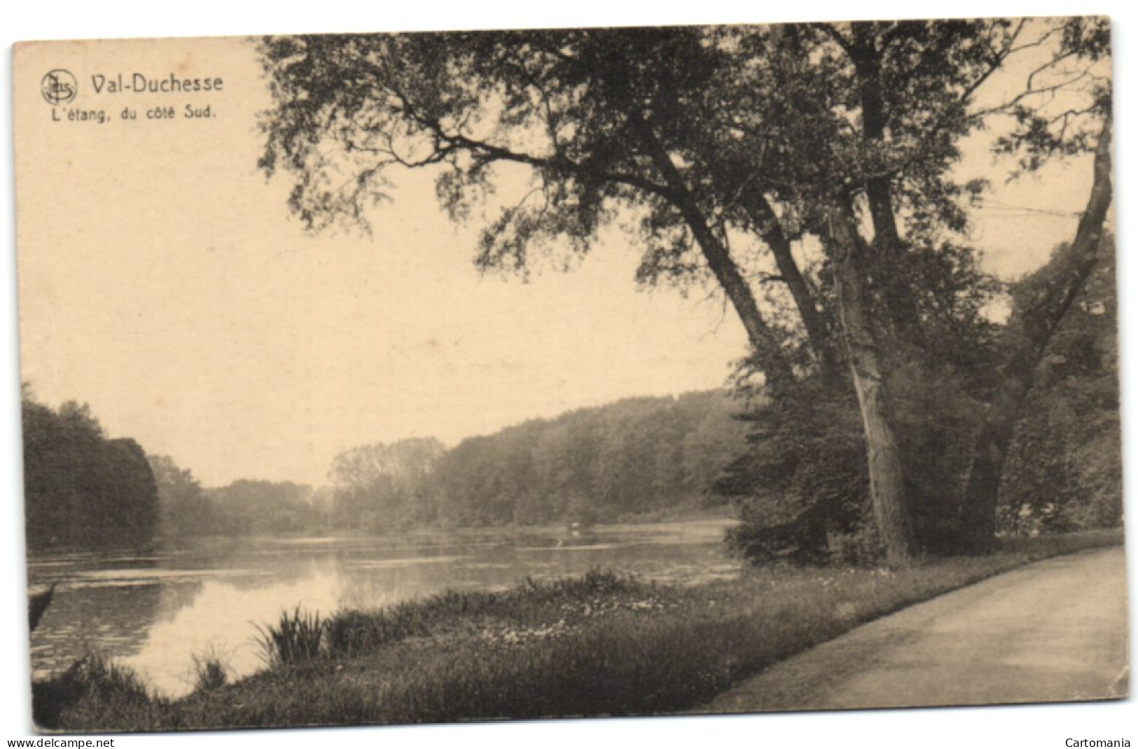 Auderghem - Val-Duchesse - L'Etang Du Côté Sud - Oudergem - Auderghem