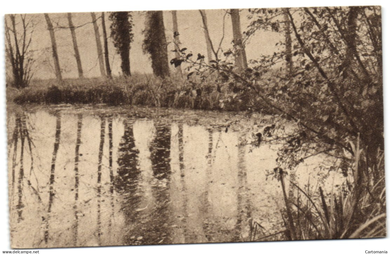 Ligue Des Amis De La Forêt De Soignes  - Rouge-Cloître - Auderghem - Oudergem