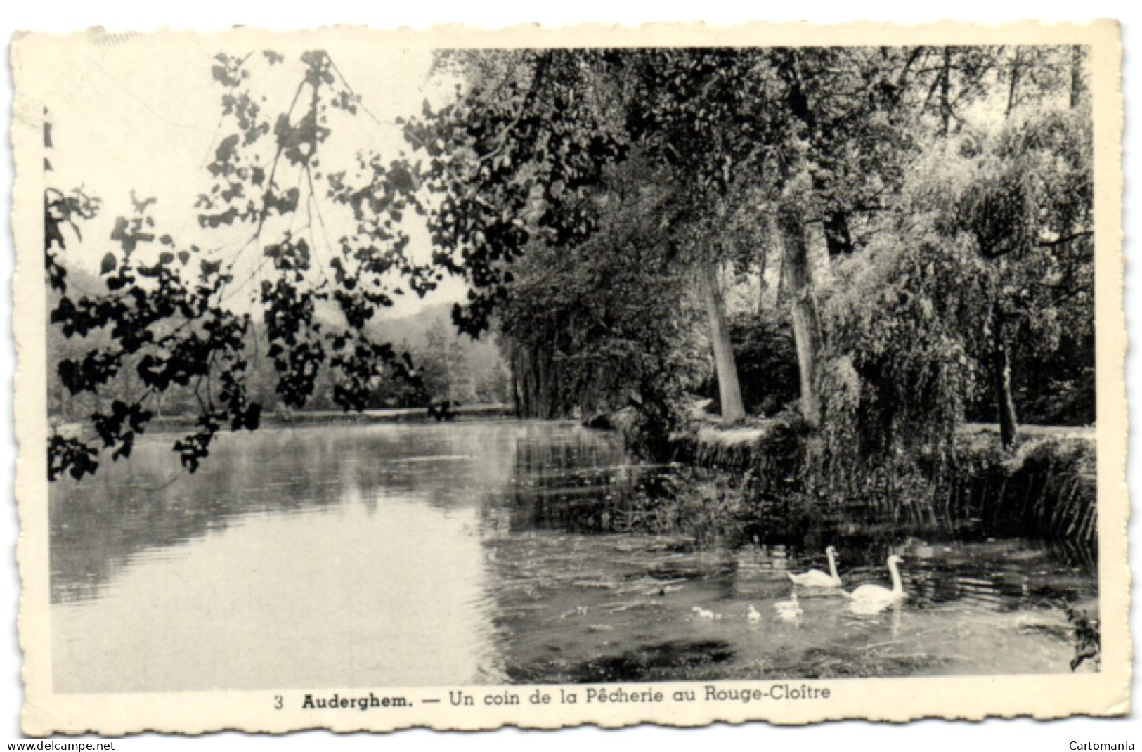 Auderghem - Un Coin De La Pêcherie Au Rouge-Cloître - Oudergem - Auderghem