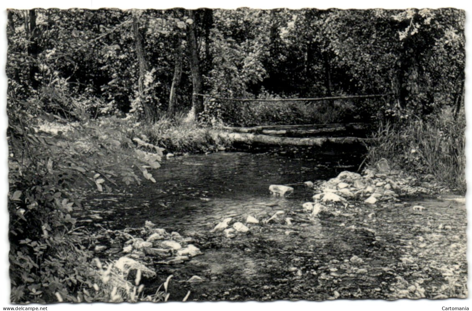 Erezée - Pont Rustique Sur L'Aisne - Erezee