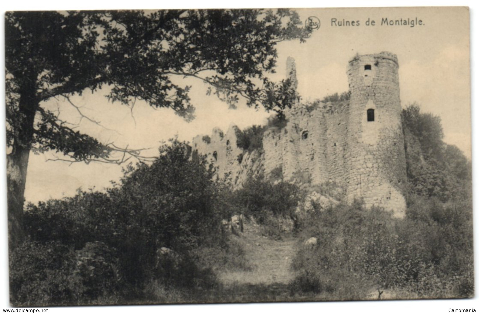 Ruines De Montaigle - Onhaye