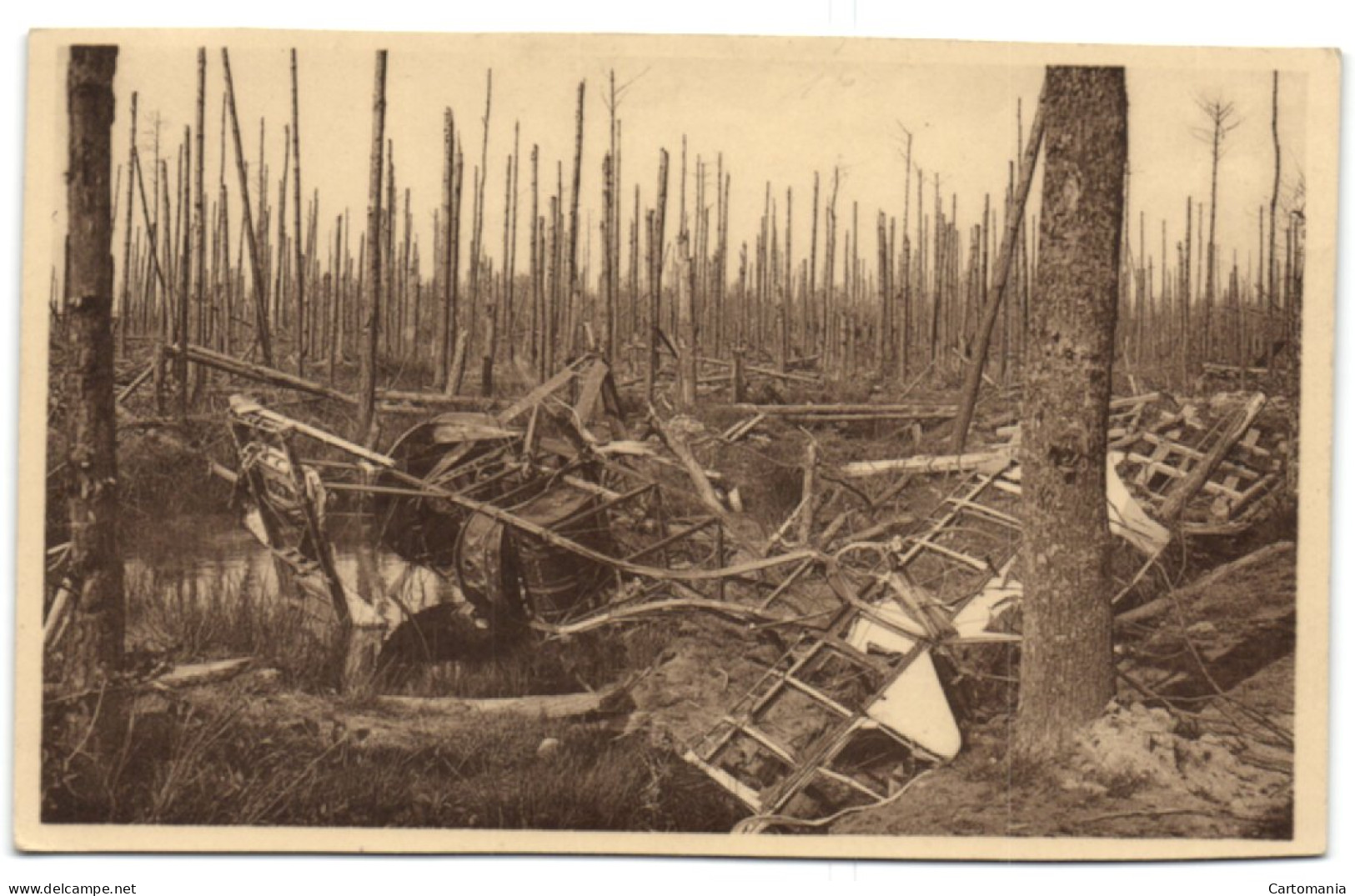 Ruines De La Forêt D'Houthulst - Débris D'un Avion Français - Houthulst