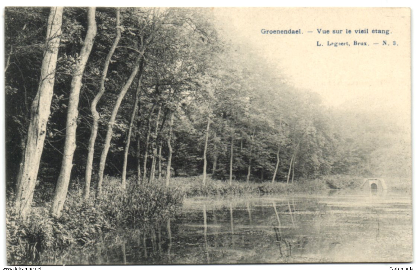 Groenendael - Vue Sur Le Vieil étang - Hoeilaart