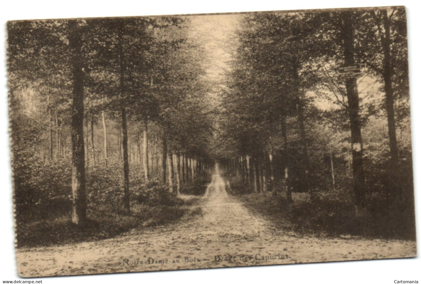 Notre-Dame-au-Bois - Drève Des Capucins - Overijse