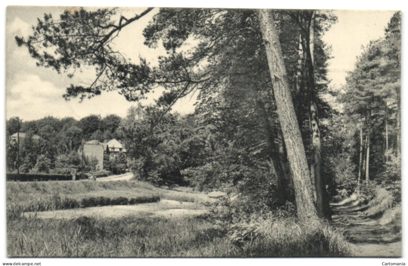 Groenendael - Promenade Vers Les étangs - Höilaart