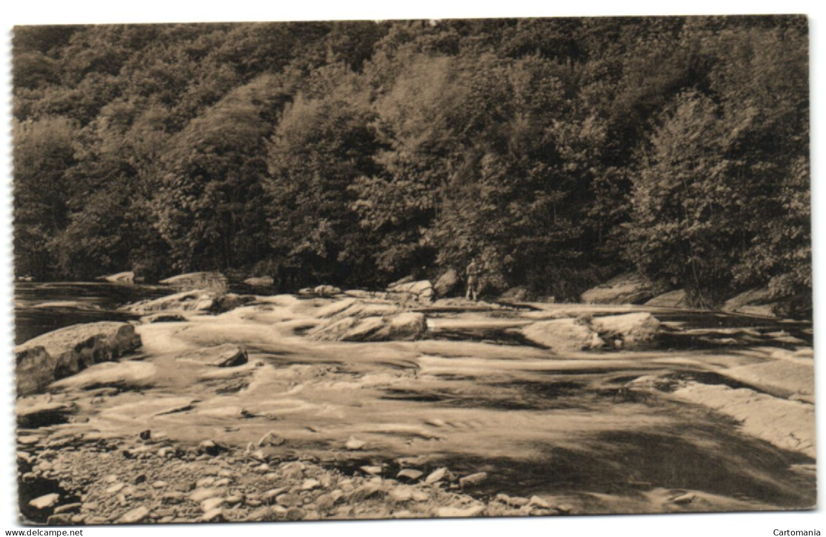 Ligue Des Amis De La Forêt De Soignes - As Ondes - Auderghem - Oudergem