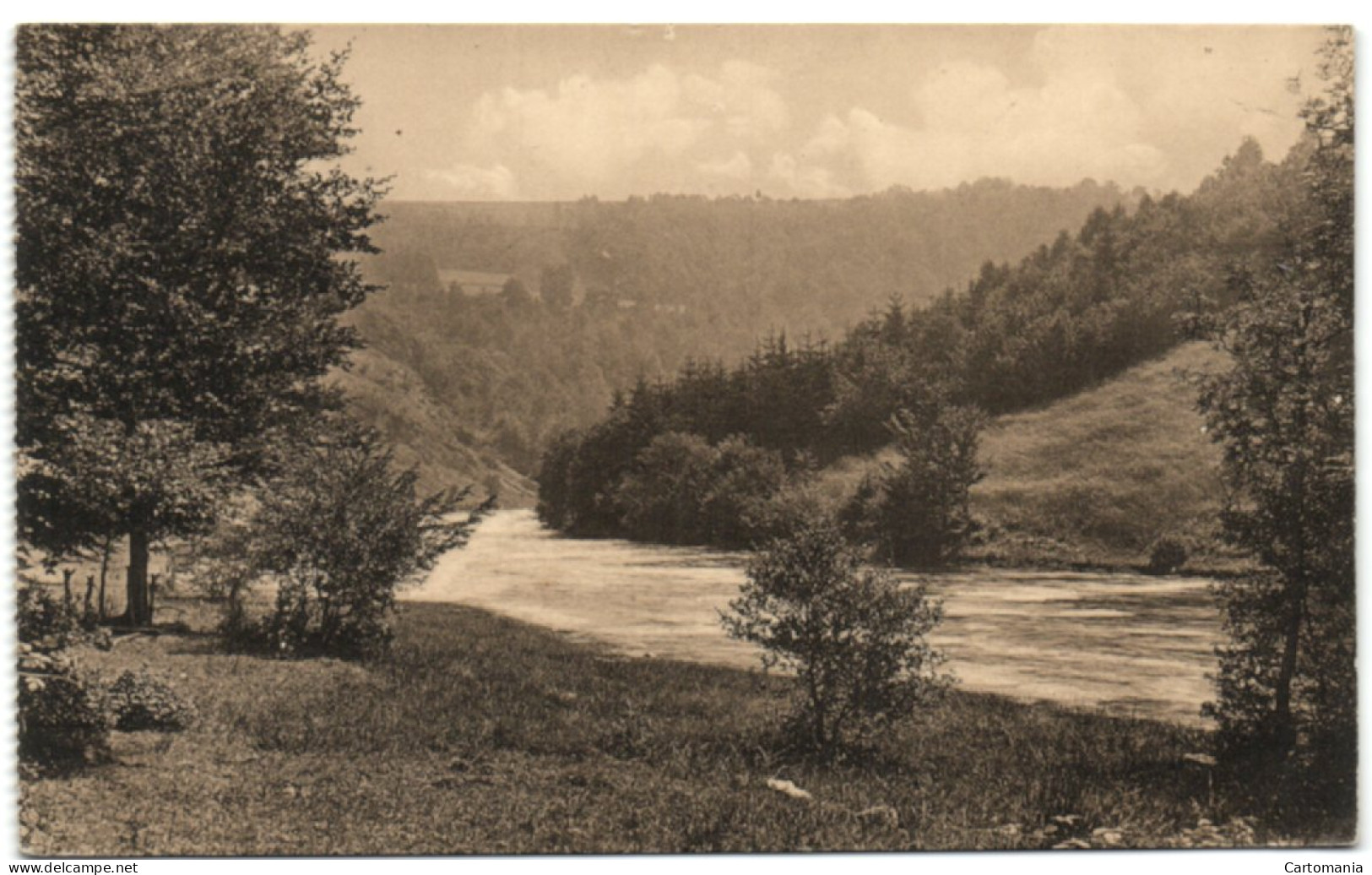 Ligue Des Amis De La Forêt De Soignes - L'Ourthe En Aval Du Moulin De Spitanche - Auderghem - Oudergem