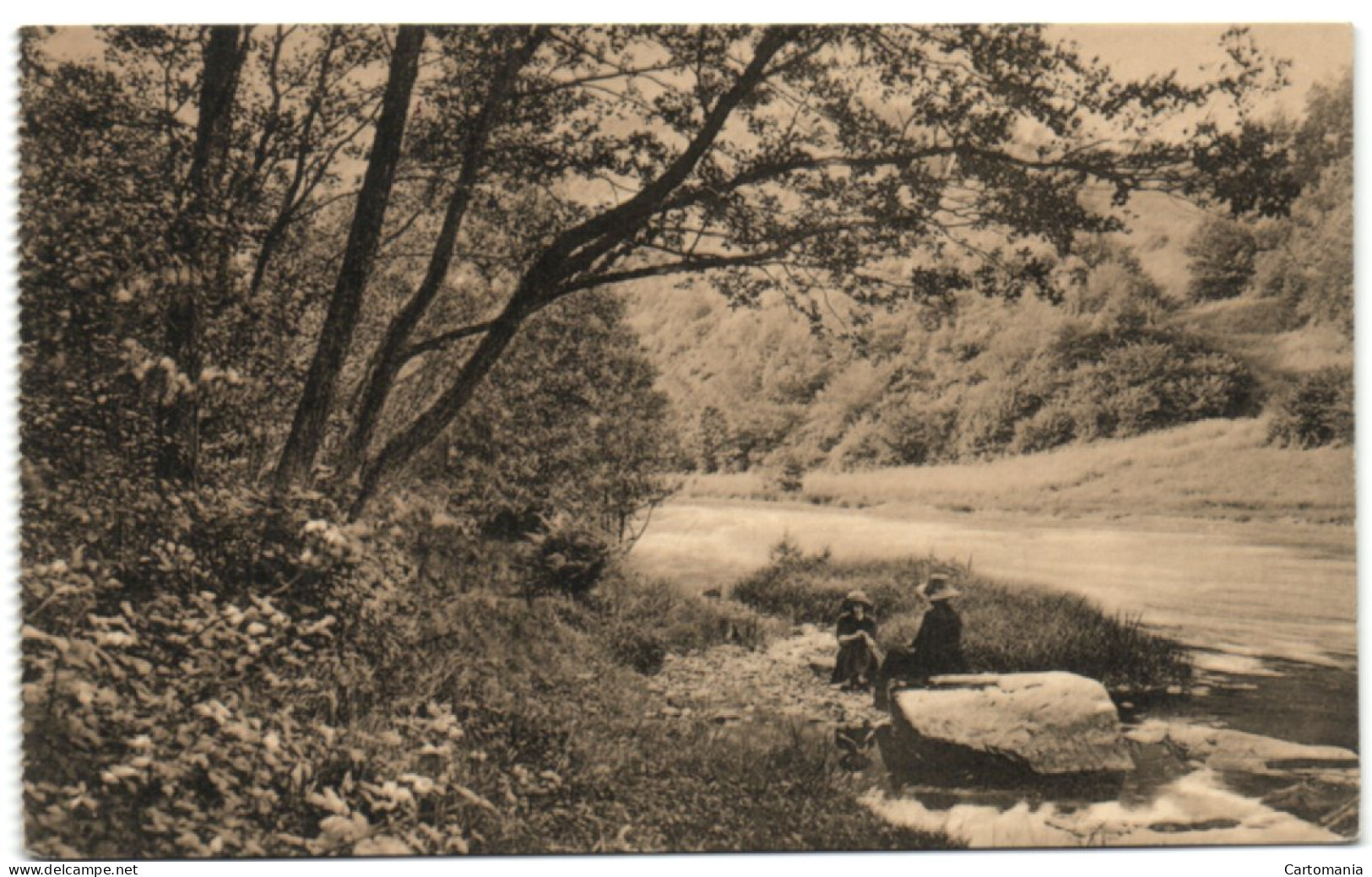 Ligue Des Amis De La Forêt De Soignes - L'Ourthe Au Pied De La Cresse Ste Marguerite - Auderghem - Oudergem