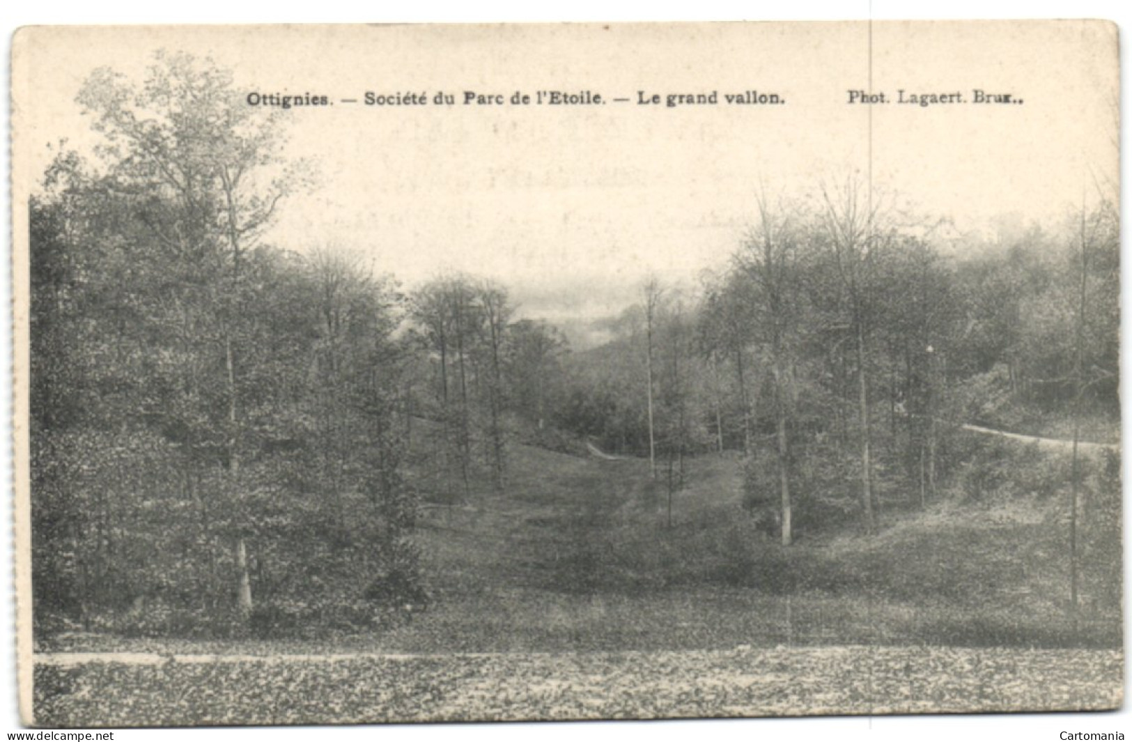 Ottignies - Société Du Parc De L'Etoile - Le Grand Vallon - Ottignies-Louvain-la-Neuve