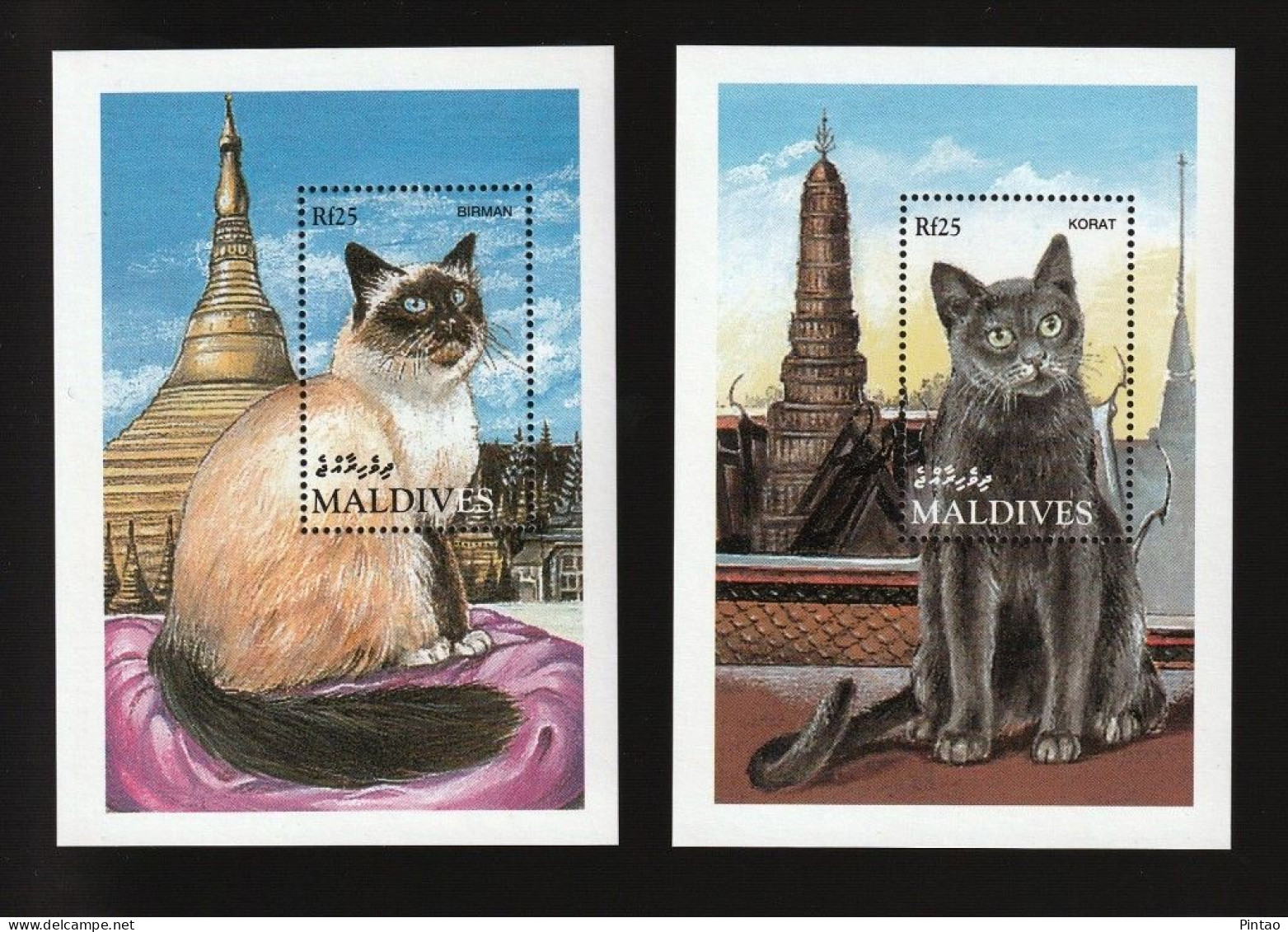 FAU1020- MALDIVAS - MNH (GATOS) - Chats Domestiques