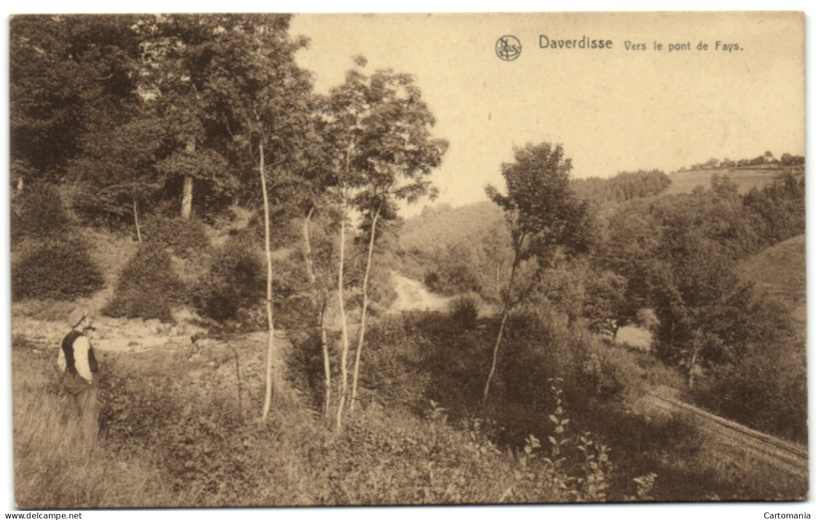 Daverdisse - Vers Le Pont De Fays - Daverdisse