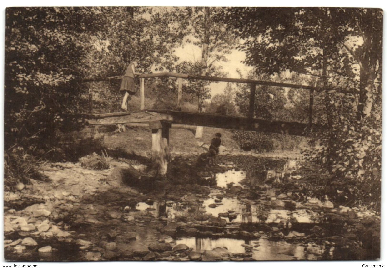 Erezée (Ardennes) - Passerelle Sur L'Aisne - Erezée