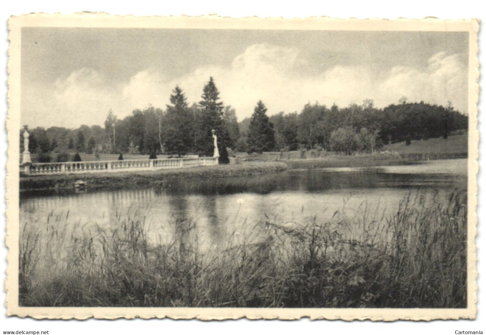 Melreux - Domaine Du Vieux Pré - L'Etang - Hotton