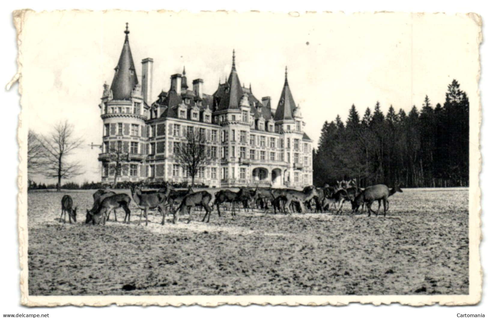 Château De Roumont - Ochamp - Libin