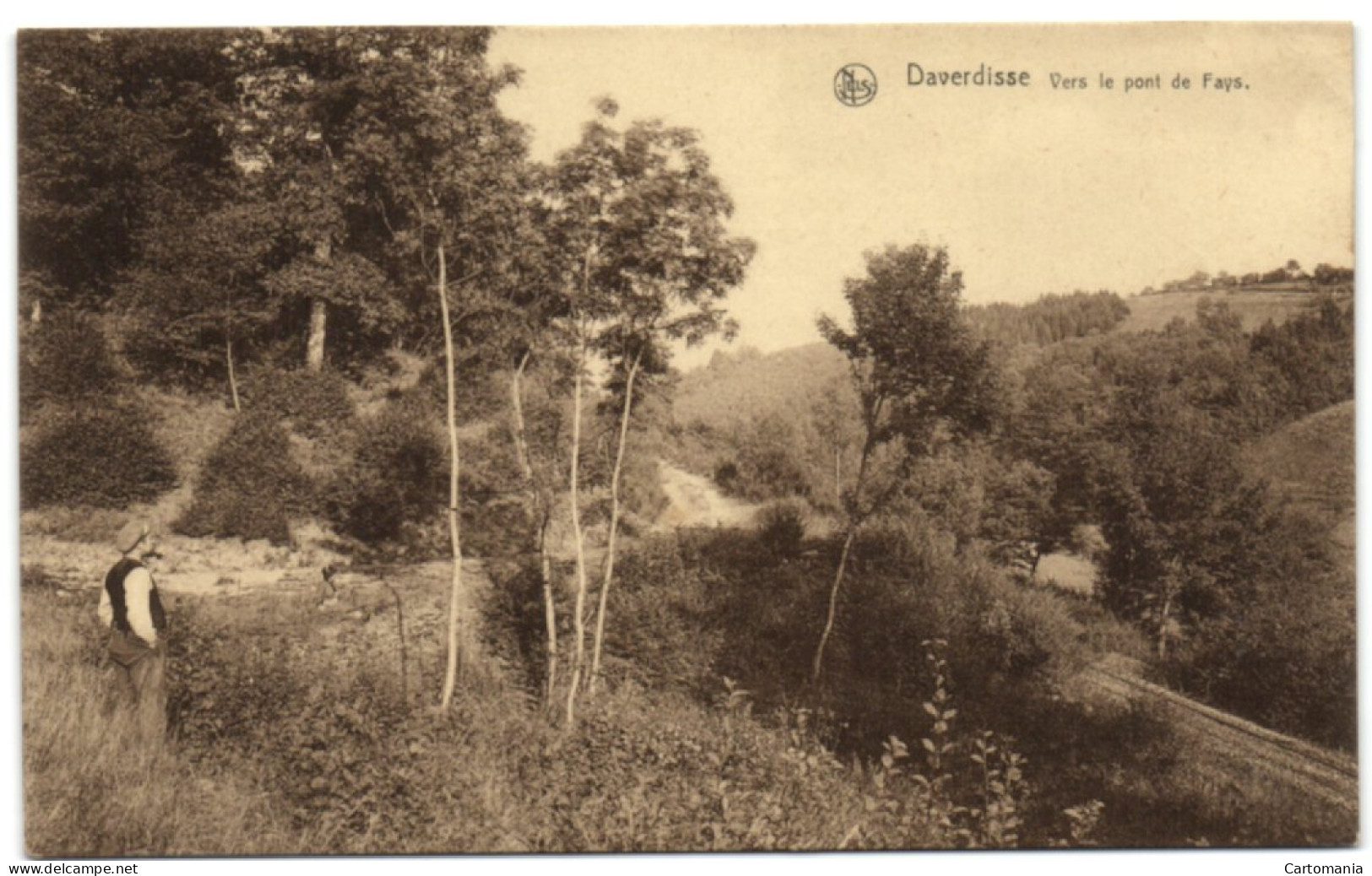 Daverdisse - Vers Le Pont De Fays - Daverdisse