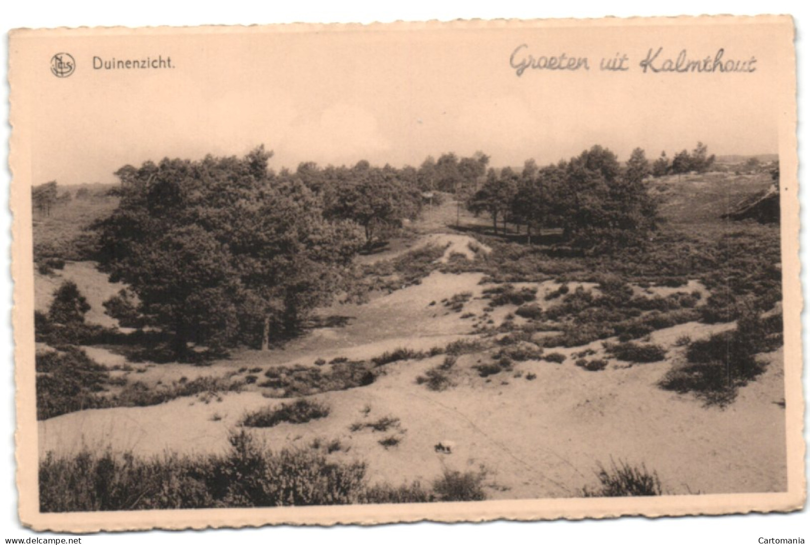 Groeten Uit Kalmthout - Duinenzicht - Kalmthout