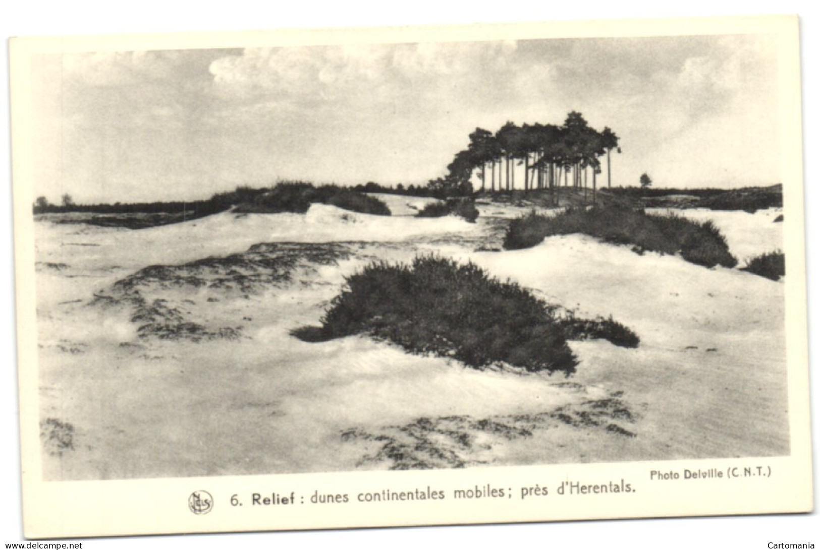 Dunes Continentales Mobiles Près D'Herentals - Herentals