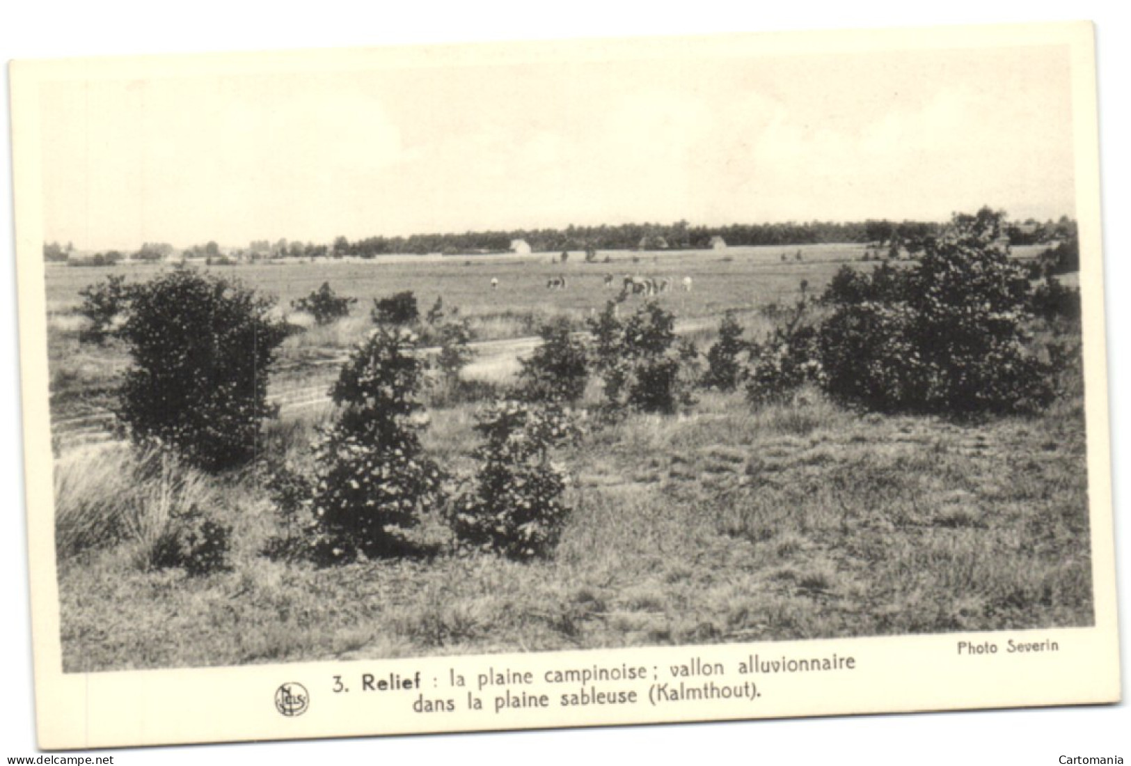 La Plaine Campinoise Vallon Alluvionnaire Dans La Plaine Sableuse (Kalmthout) - Kalmthout