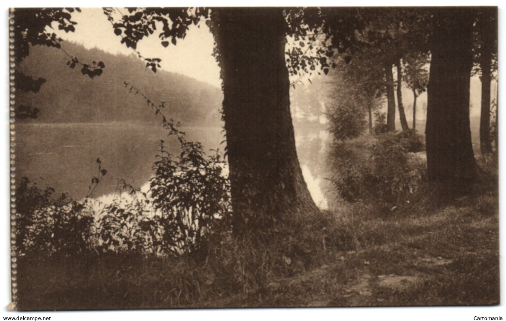 Auderghem - Rouge-Cloître - La Brume - Auderghem - Oudergem