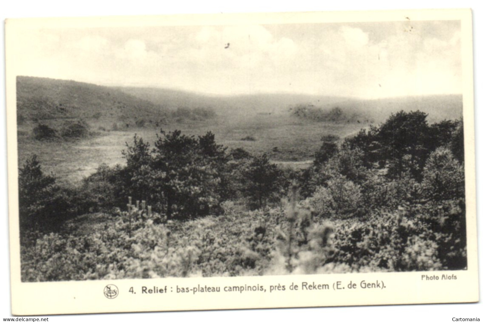 Relief - Bas-plateau Campinois Près De Rekem (E. De Genk) - Lanaken