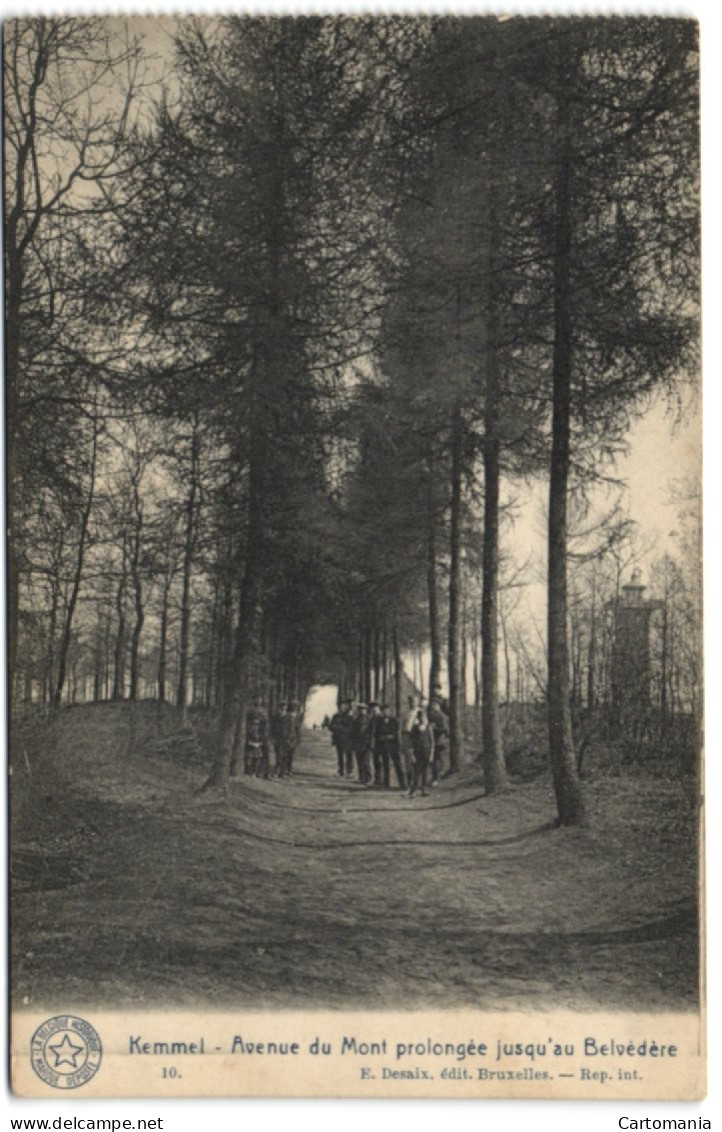 Kemmel - Avenue Du Mont Prolongée Jusqu'au Belvédère - Hooglede