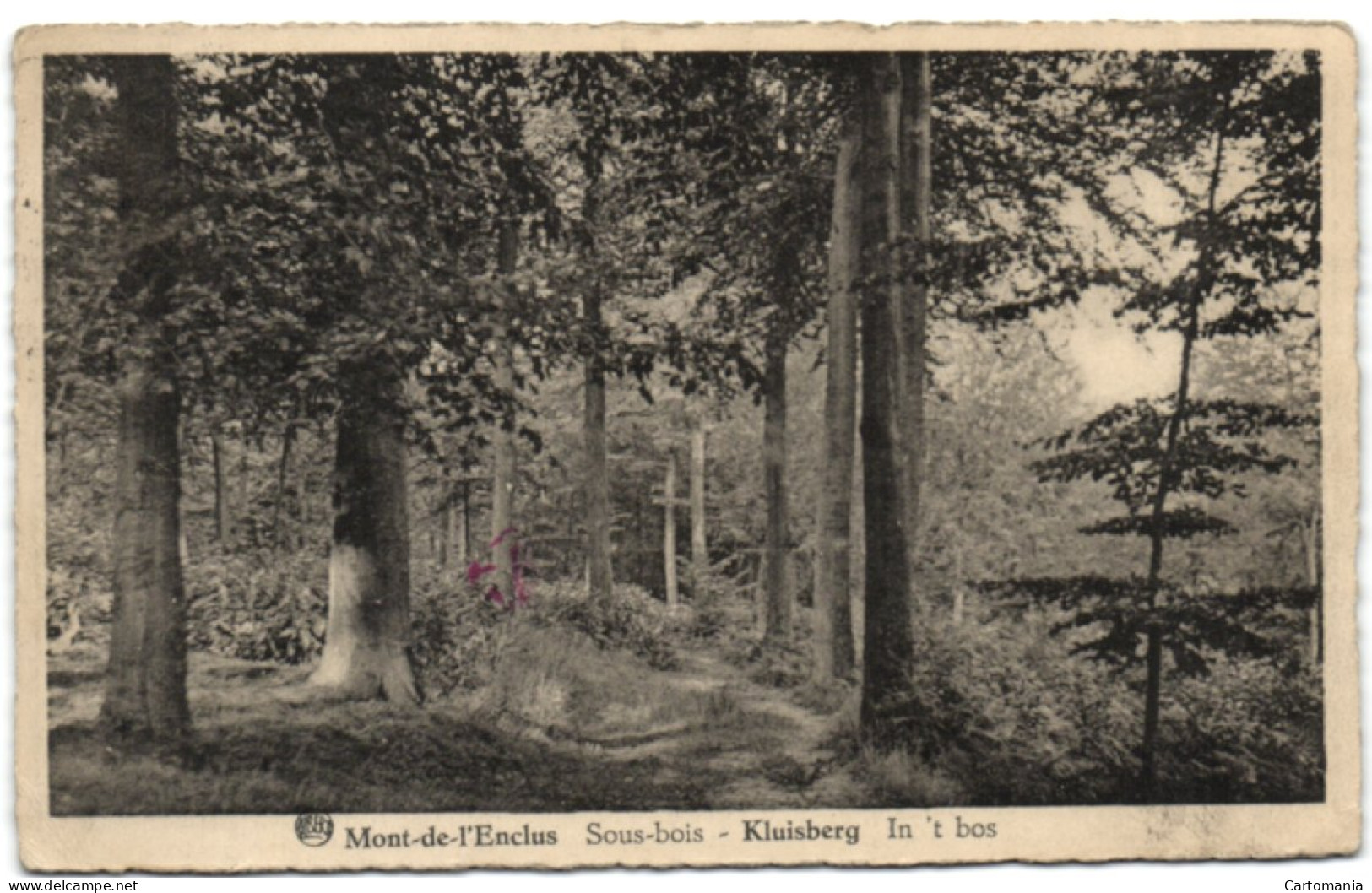 Kluisberg - In 't Bos - Kluisbergen