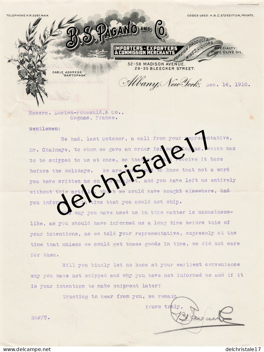 96 0426 ALBANY NEW-YORK ÉTATS-UNIS 1910 Import Export Wines Liquors Olive Oil B.S. PAGANO & Co Madison Avenue à FOUCAULD - Etats-Unis