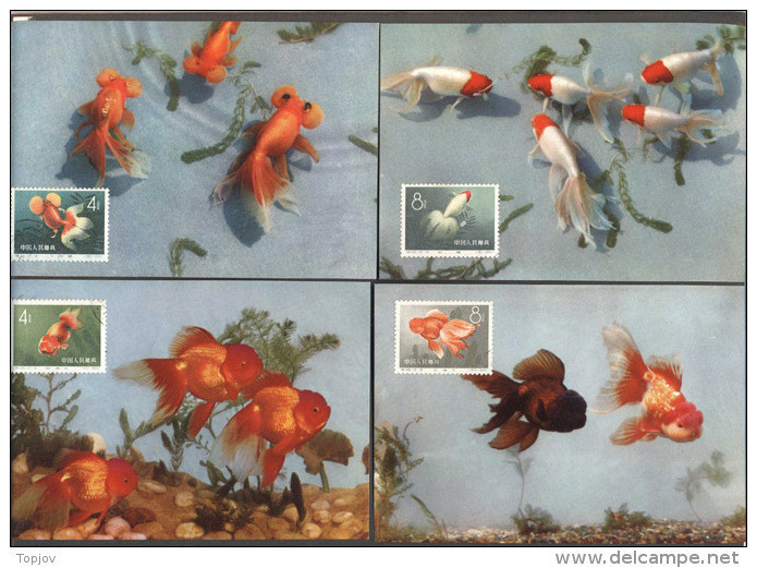 CHINA - KINA -  GOLD  FISH  On  POSTCARDS - Complet Set 12 V -  ORGINAL  CARD - Cto  MC - 1960 - PERFECT - RARE - Brieven En Documenten