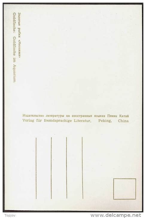 CHINA - KINA -  GOLD  FISH  On  POSTCARDS - Complet Set 12 V -  ORGINAL  CARD - Cto  MC - 1960 - PERFECT - RARE - Briefe U. Dokumente