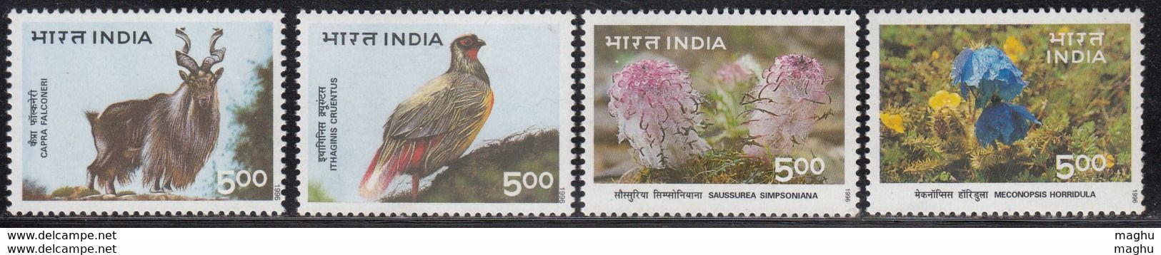 India MNH 1996, Set Of 4, Himalayan Ecology, Bird, Animal, Flower, Poppy, Plant, - Ongebruikt