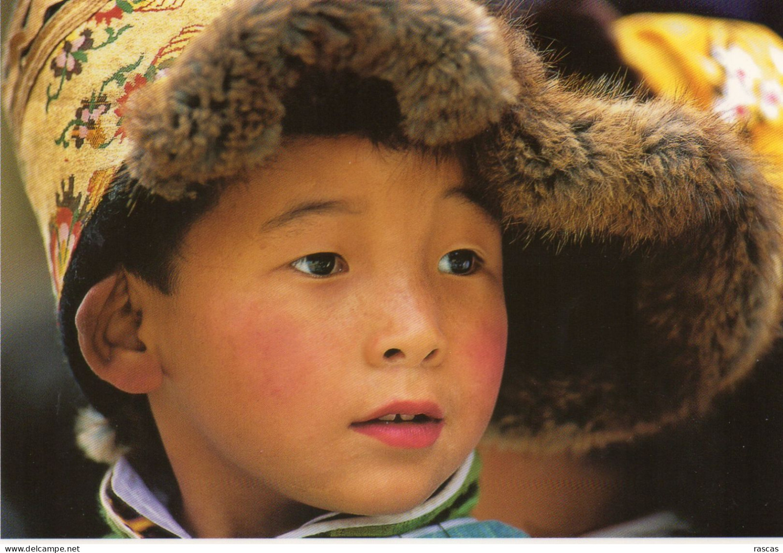 CPM - L - TIBET - ENFANT TIBETAIN - INDE DU NORD - Tibet