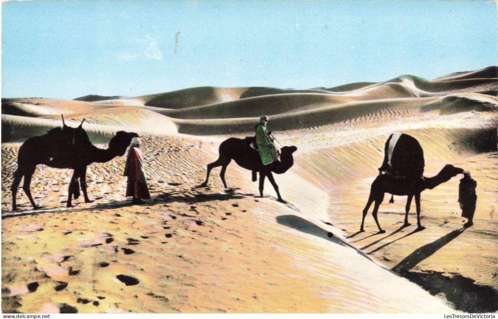 ALGERIE - Bassour Dans Les Dunes - Colorisé - Carte Postale Ancienne - Autres & Non Classés