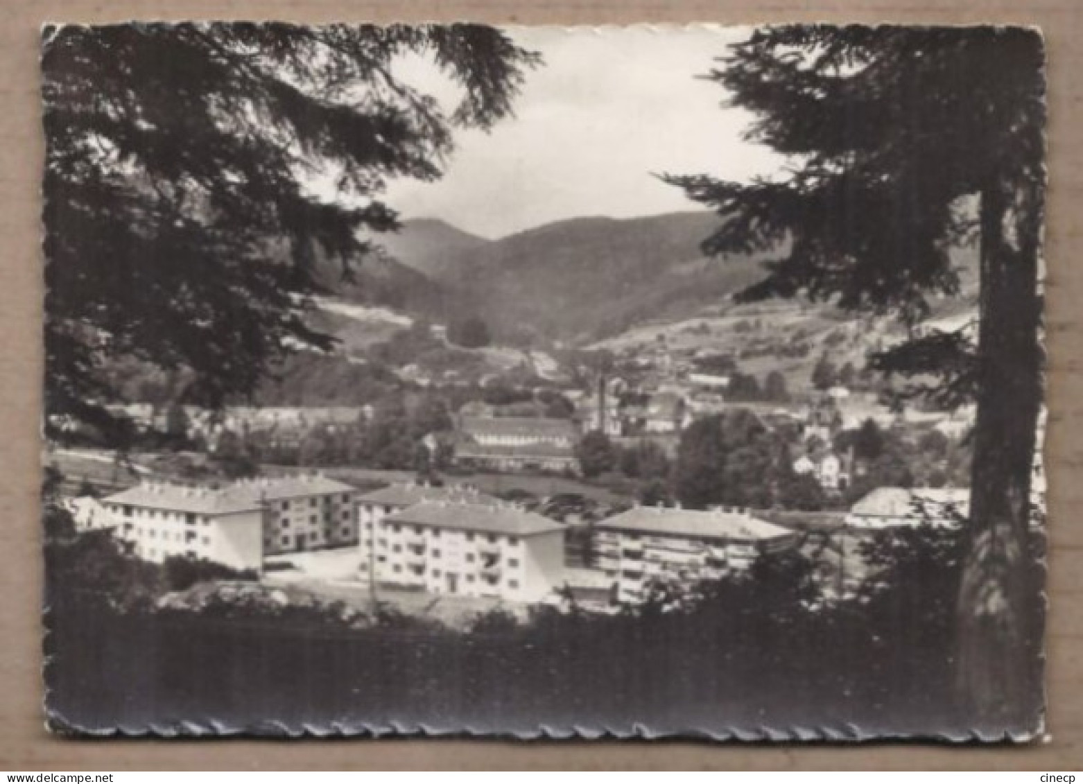 CPSM 67 - ROTHAU - Au Fond , La Claquette - ALBET - Jolie Vue Générale Du Village + Cité Quartier Immeubles 1er Plan HLM - Rothau