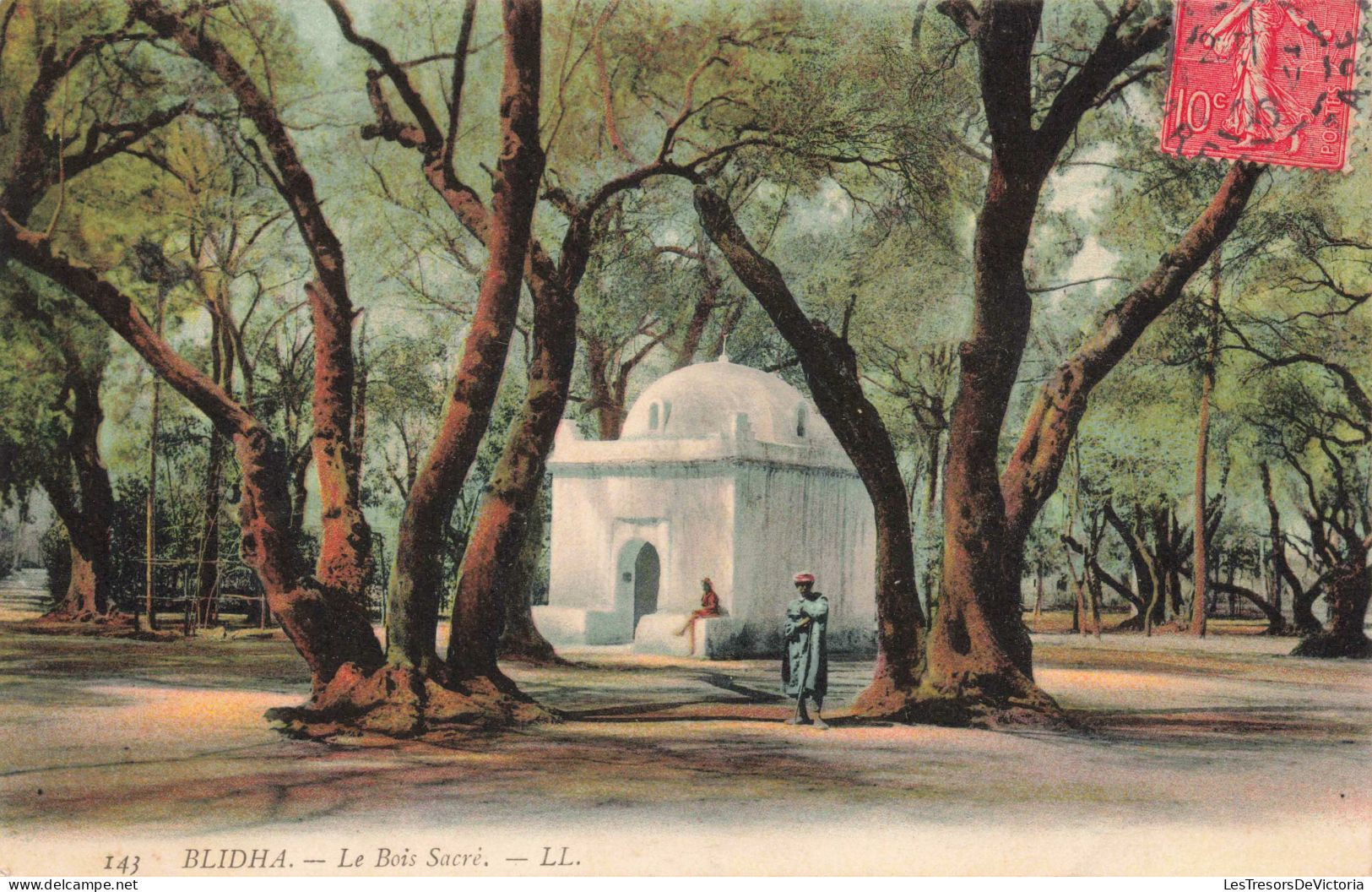 ALGERIE - Blidha - Le Bois Sacré - Colorisé - Carte Postale Ancienne - Blida