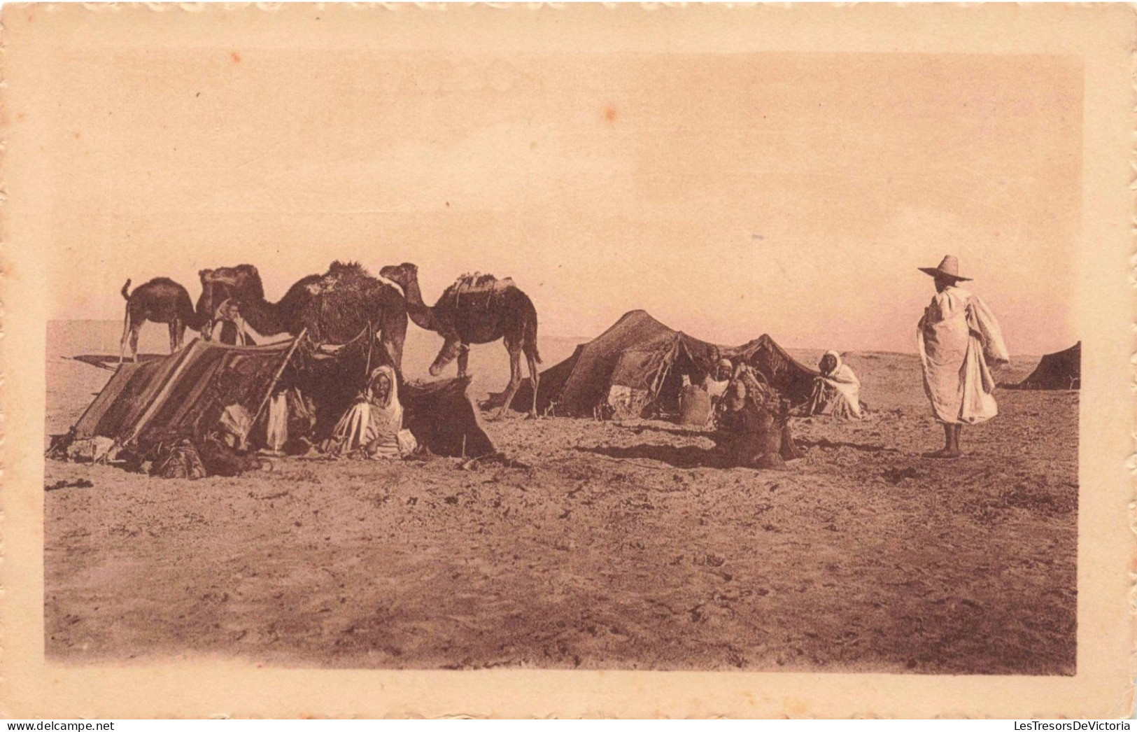 ALGERIE - Scènes Et Types - Campement Dans Le Désert - Carte Postale Ancienne - Scènes & Types