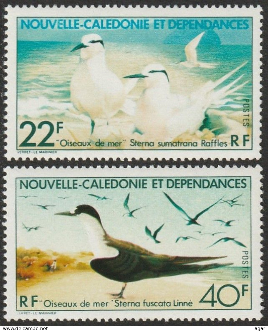 THEMATIC SEA BIRDS:  STERNA SUMATRANA RAFFLES AND STERNA FUSCATA LINNE  -  NEW CALEDONIA - Swallows