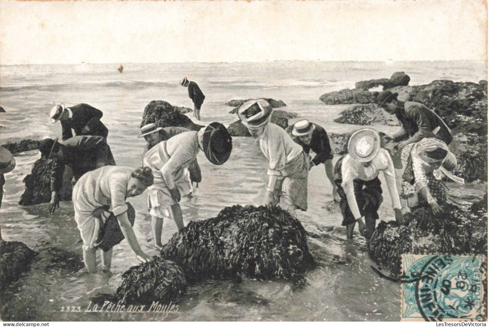 CARTE PHOTO - La Pêche Aux Moules - Animé - Carte Postale Ancienne - Photographs