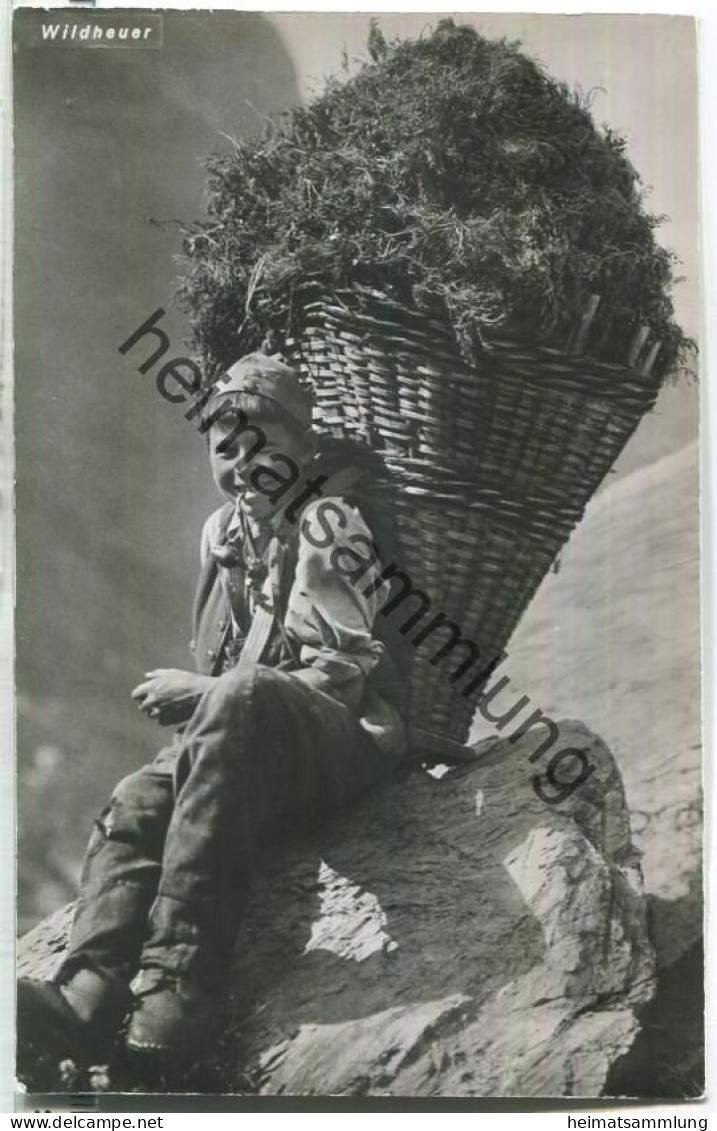 Wildheuer - Foto-Ansichtskarte - Verlag Photoglob-Wehrli AG Zürich - Wil