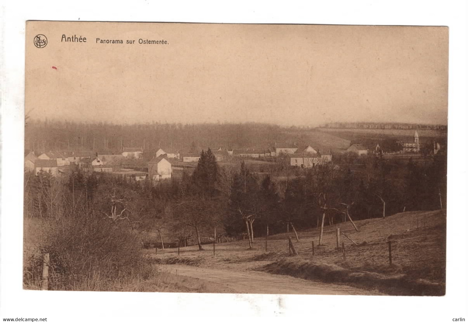 Anthée Panorama Sur Ostemerée - Onhaye