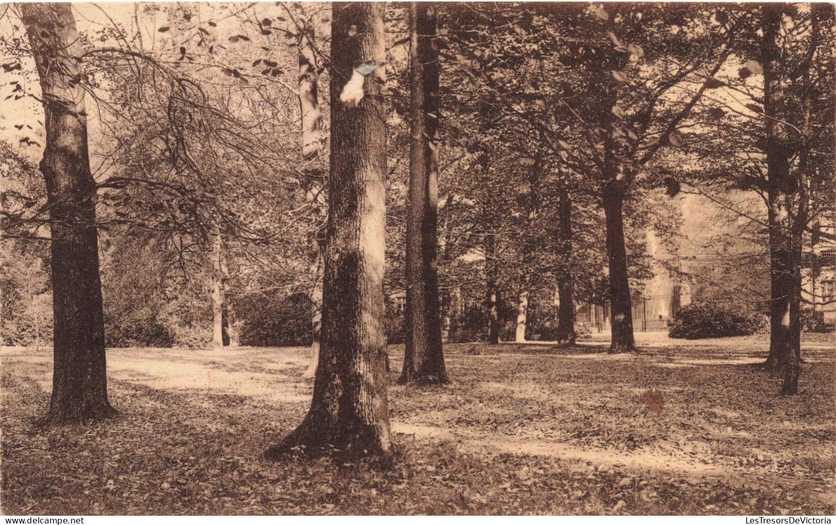 BELGIQUE - Royaume De Belgique - Domaine De Mariemont  - Carte Postale Ancienne - Morlanwelz