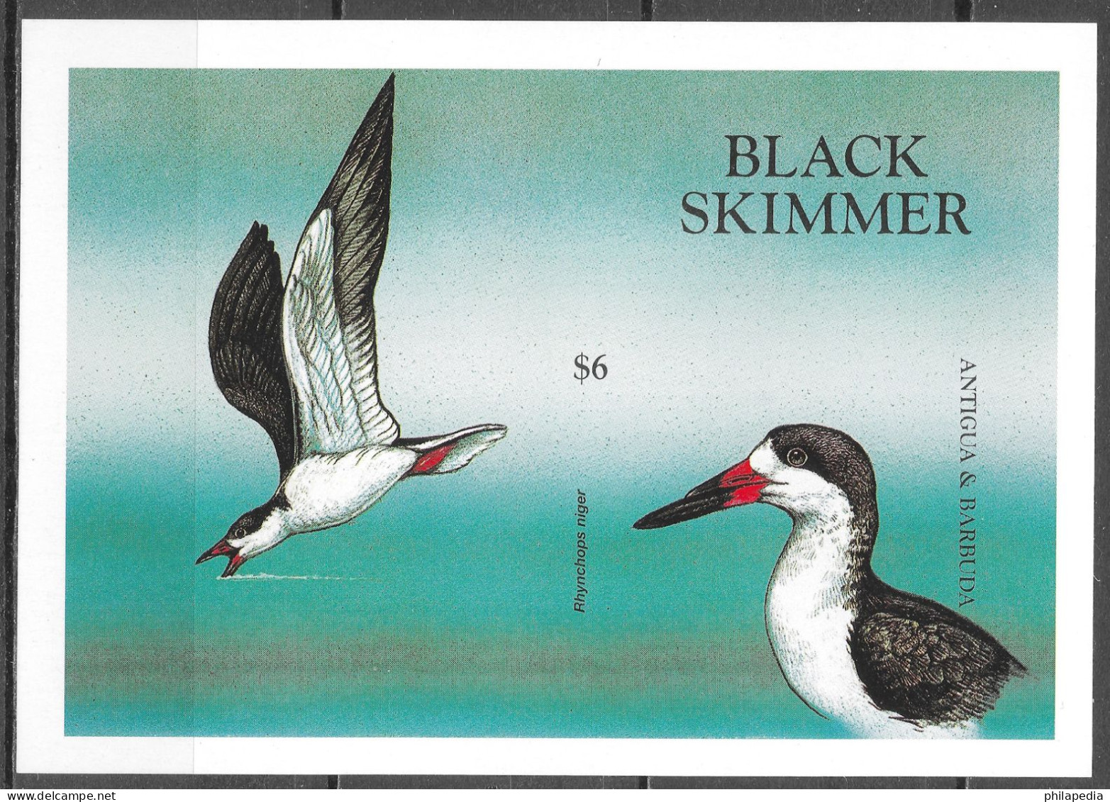 Antigua & Barbuda Oiseaux Sternes Non Dentelé Seabirds Terns Imperf Proof Vögel Möwen Ungezähnt Aves Uccelli **1998 60€ - Mouettes