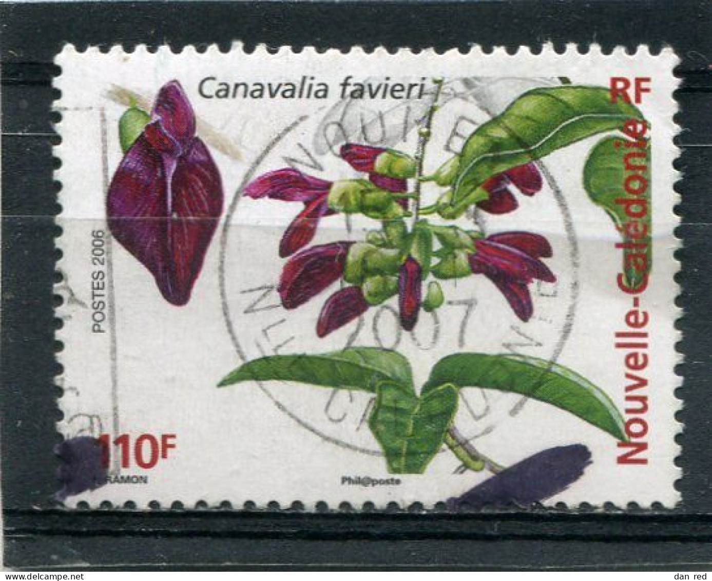 NOUVELLE CALEDONIE  N°  983  (Y&T)  (Oblitéré) - Used Stamps