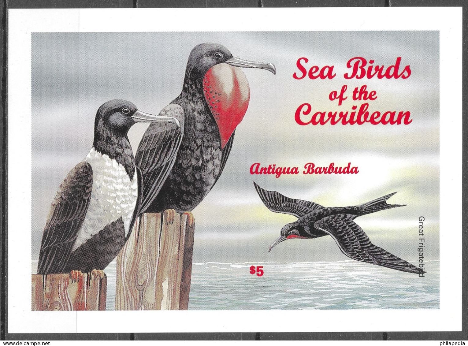 Antigua & Barbuda Oiseaux Frégate Non Dentelé Birds Terns Imperf Proof Vögel Möwen Ungezähnt Aves Uccelli ** 1996 60€ - Pelicans