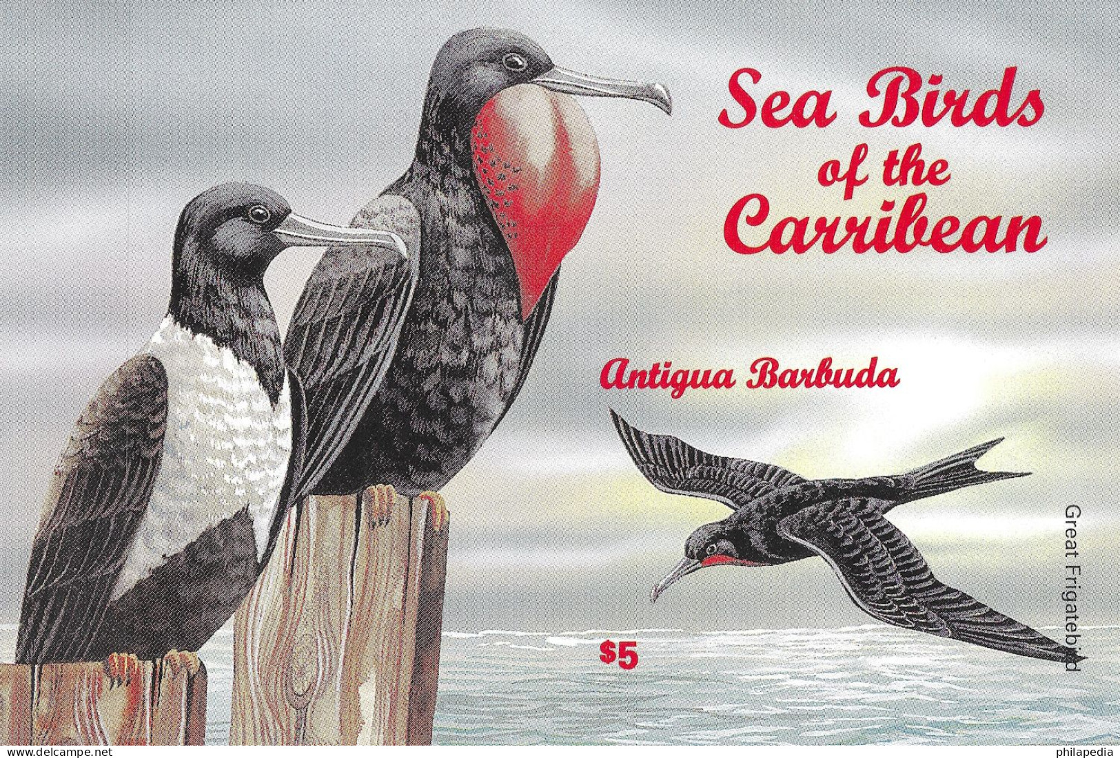 Antigua & Barbuda Oiseaux Frégate Non Dentelé Birds Terns Imperf Proof Vögel Möwen Ungezähnt Aves Uccelli ** 1996 60€ - Pellicani