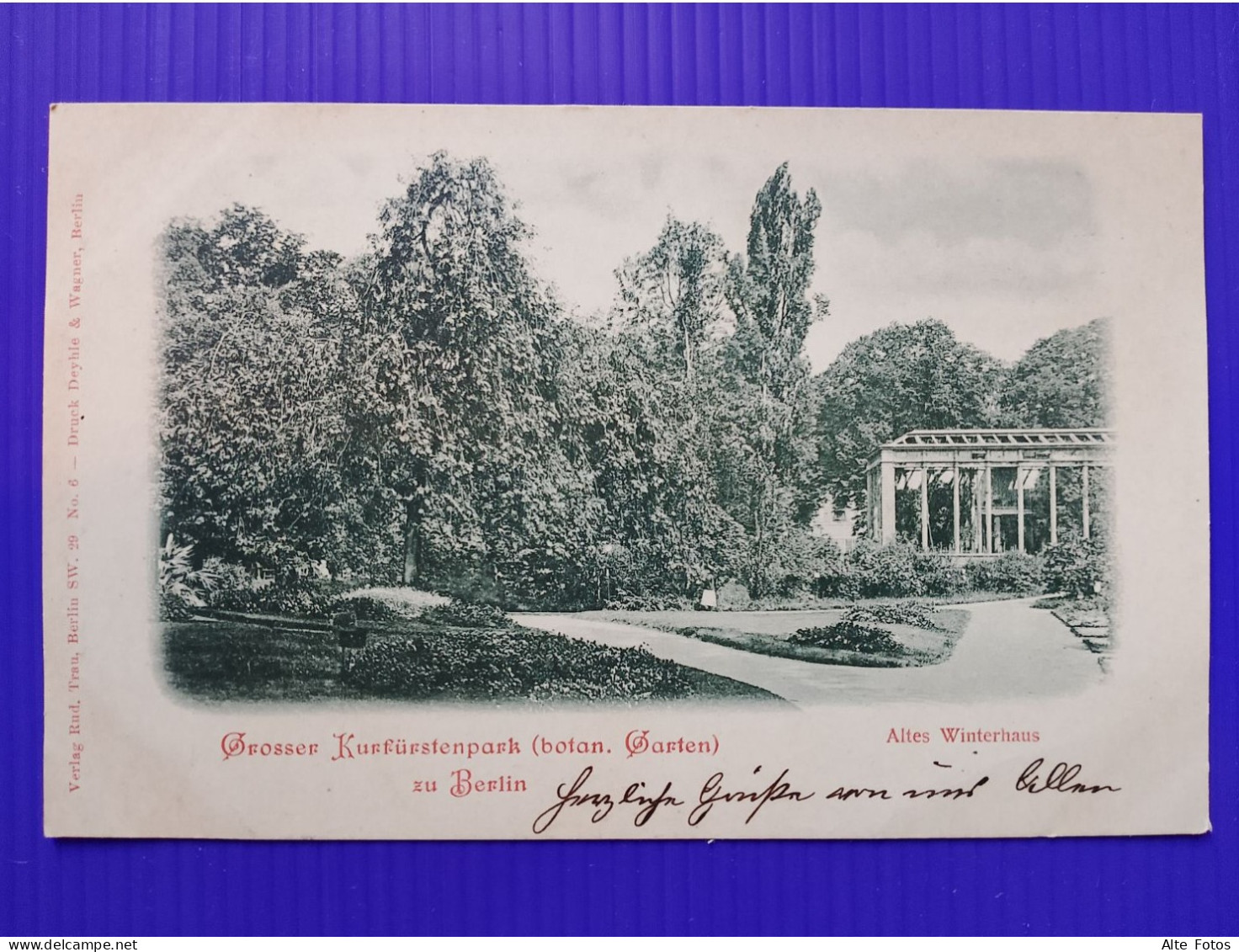 Alte AK Ansichtskarte Postkarte Berlin Lichterfelde Botanischer Garten Kurfürstenpark Altes Winterhaus Deutsches Reich - Lichterfelde