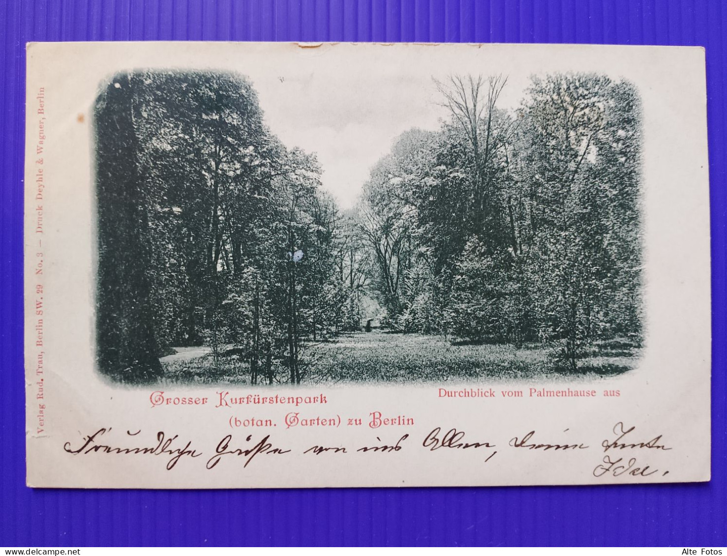 Alte AK Ansichtskarte Postkarte Berlin Lichterfelde Botanischer Garten Litho Deutsches Reich Vom Palmenhaus Aus Alt Old - Lichterfelde