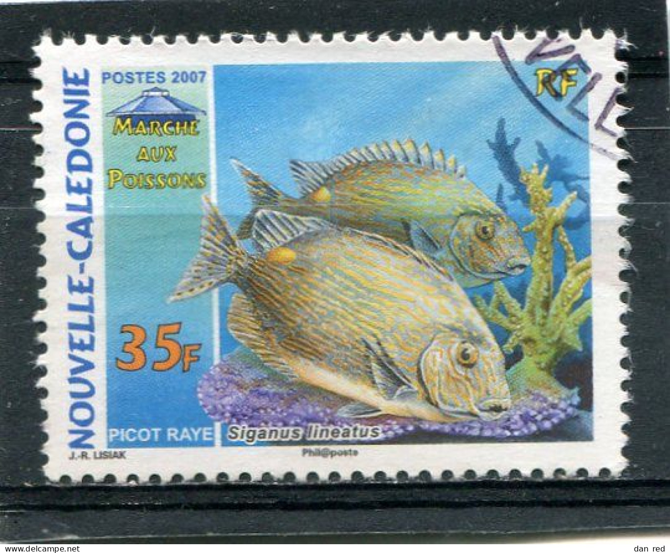 NOUVELLE CALEDONIE  N°  998  (Y&T)  (Oblitéré) - Used Stamps
