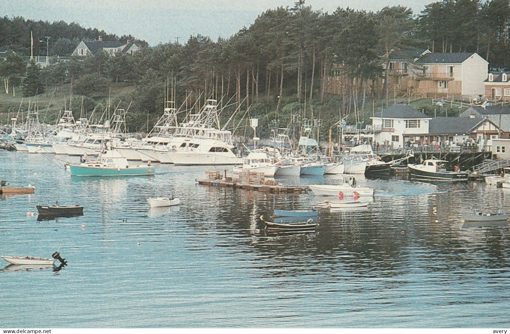 The Annual Casco Bay Tuna Tournament Held At Scenic Mackerel Cove Restaurant And Marina, Bailey Island, Maine - Portland